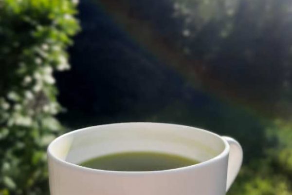 Gyokuro Tee in der Natur